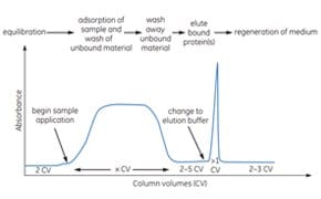 Sample Purification