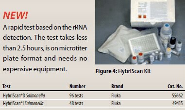 A rapid test based on the rRNA detection