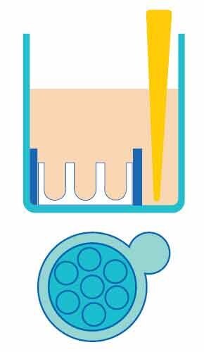 Schematic of Millicell<sup>®</sup> Microwell plate showing the well