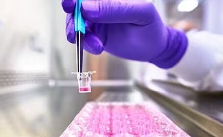 Scientist using Millicell® hanging cell culture inserts