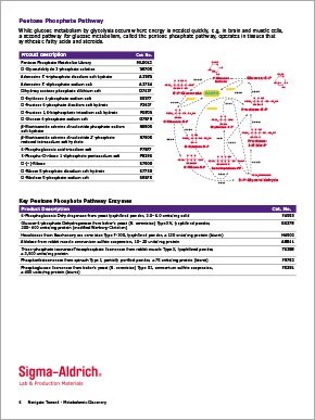 Metabolomic Discovery Brochure Page 6