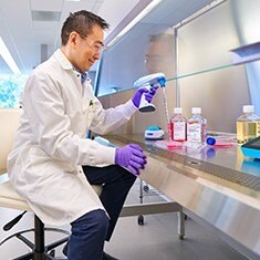 Scientist performing cell culture at the tissue culture hood. Scientist pipetting red media into a culture plate.