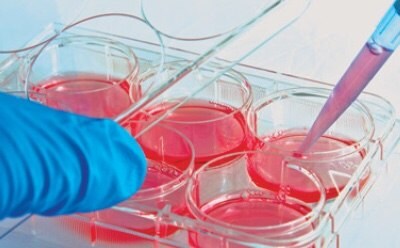 A scientist's hand in a blue glove using a pipette to transfer a red liquid into one of several wells in a multi-well plate, suggesting a laboratory setting focused on biological or chemical research.