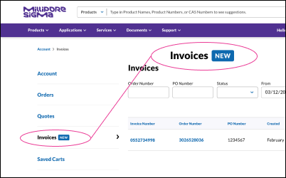 Showing the Side Menu in an account's dashboard