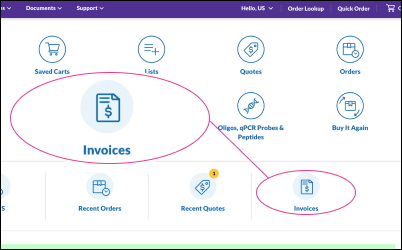 Showing the clickable invoice icons in RCHP where you can access your invoices