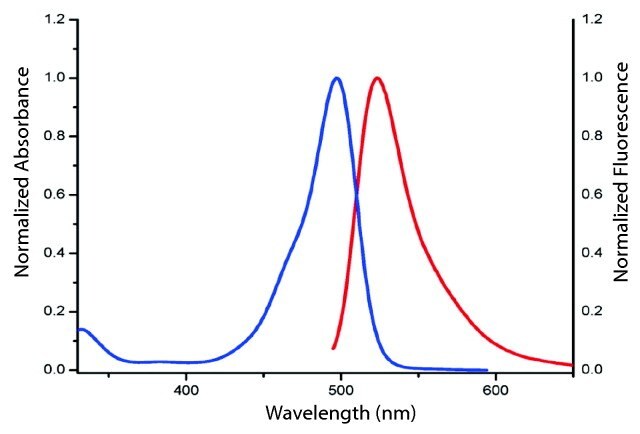 Fluor 488-Alkyne Spectrum