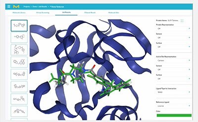 Addision  Protein