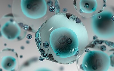 Cell Line Characteriyzation