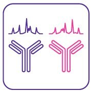 인터로트 및 바이오시밀러 비교 가능성 평가를 위한 단클론 항체(mAb) 기반 검사 제품군