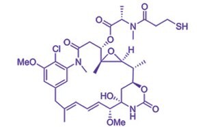 Chemical structure of DM1 (CAS 139504-50-0)