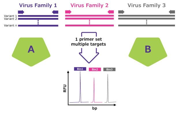 A method for detecting multiple virus families using a single primer set. The image shows three virus families (Virus Family 1 in purple, Virus Family 2 in pink, and Virus Family 3 in grey), each with multiple variants. A single primer set targets multiple sequences from these virus families, shown by arrows pointing to a graph below. The graph displays relative fluorescence units (RFU) against base pairs (bp), with three distinct peaks (Bin1 in purple, Bin2 in pink, and Bin3 in grey) indicating the detection of each virus family. Divided into two sections labeled A and B, represented by green pentagons.