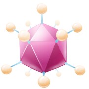 Illustration of adenovirus