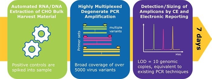 The Blazar™ rapid molecular platform is a viable alternative to in vitro detection assays 