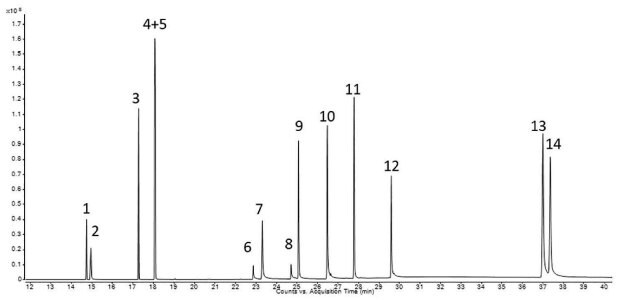 Chromatogram of the Extractables and Leachables Screening Standard for GC