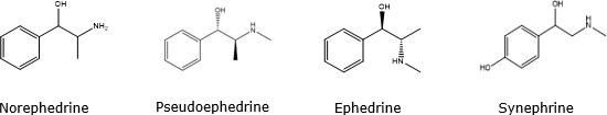 2-D chemical structures (Bond line structure) of ephedrine and its related structural analogs.