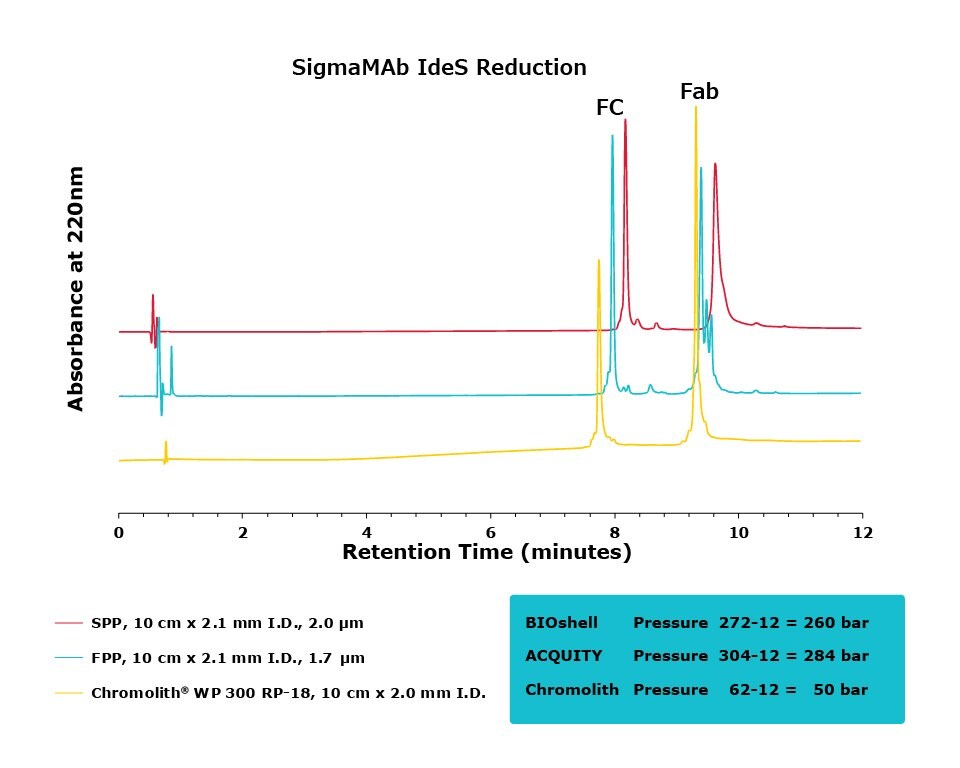 Comparison of separation performance between Chromolith®, a SPP, and an FPP-packed column in analyzing IdeS reduced Sigma MAb