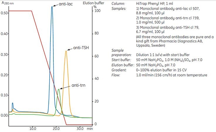 Three monoclonal antibodies interact differently under identical running conditions using a phenyl ligand. A suitable ligand must be determined empirically.