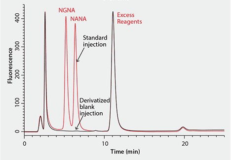 Representative Chromatogram of HPLC Separation