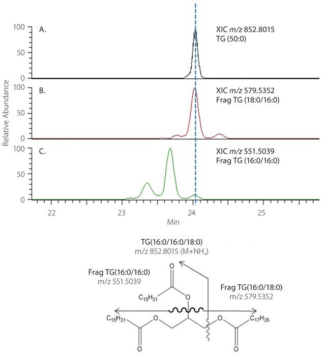 diacylglycerol-fragments-molecule