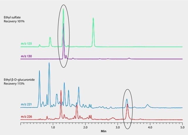 LC/MS Analysis of Ethanol Metabolites in Urine on Ascentis® Express OH5 after Dilution with Deuterated Internal Standards