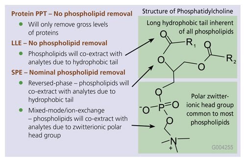 Phospholipids Co-Extract with Analytes of Interest