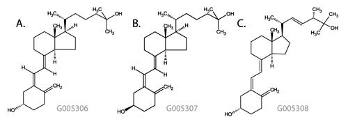 Figure 1. Vitamin D Metabolite Structures