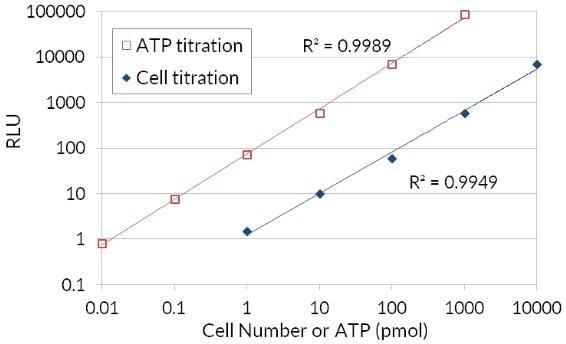 Bioluminescent ATP luciferase cell viability assay