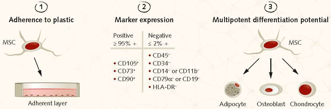 minimum-isct-criteria