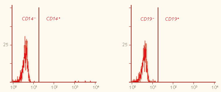 Negative MSC Markers