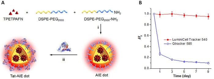 Physical characteristics of LuminiCell Tracker fluorescent nanoparticles