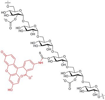 FITC-Carboxymethyl-Dextran Structure