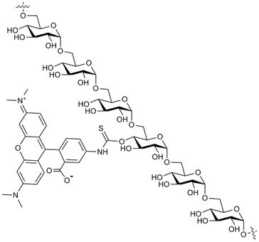 TRITC-labelled Polysaccharides Structure