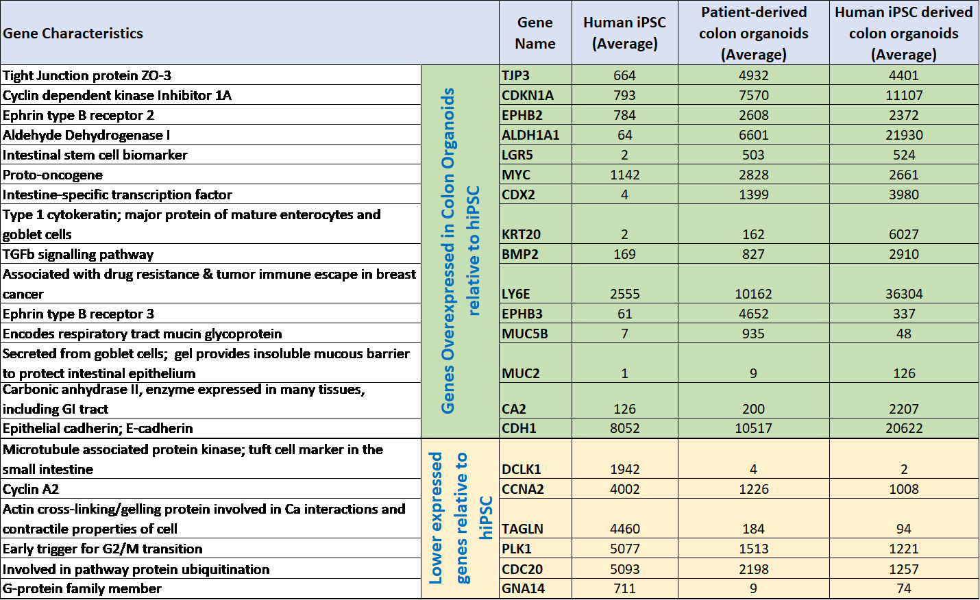 Gene expression differences of human iPSCs, iPSC derived colon organoids vs. adult patient derived tissue organoids. 