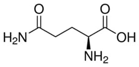 Struktura chemiczna L-glutaminy