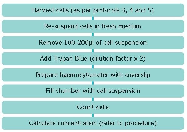 Cell Culture Protocol 6: Cell Counting Using a Hemocytometer