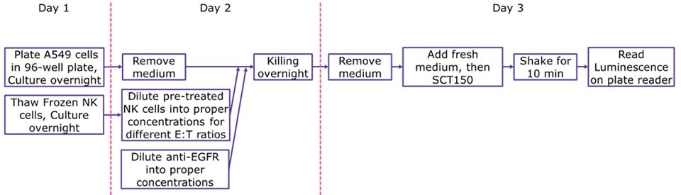 ADCC protocol