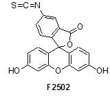 labeling and staining reagents