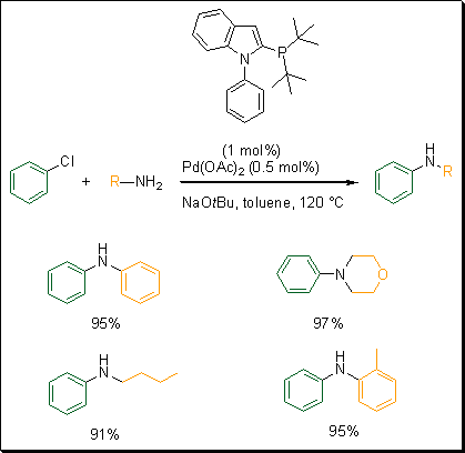 kataklizm