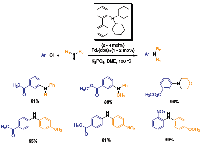 di tert butyl