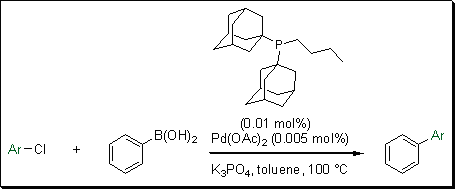 kataklizm