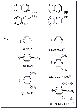 Introduction Structure Image