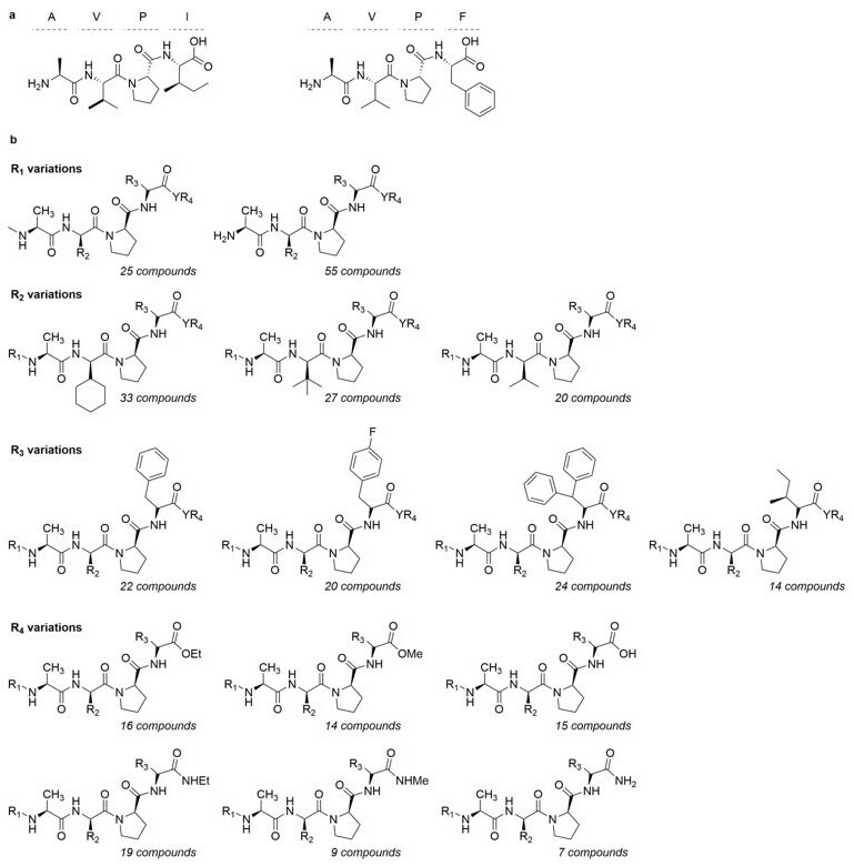 Structure of AVPI and AVPF