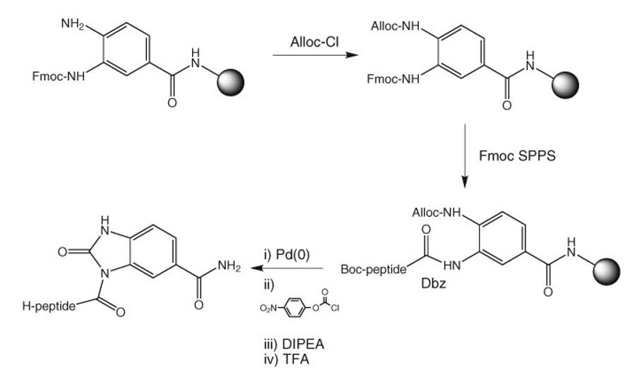 alloc-protection