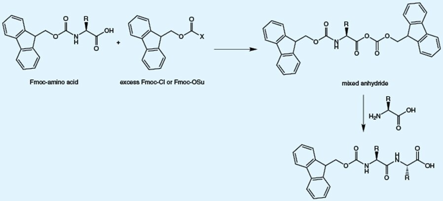 The impurities present in Fmoc-amino acids are predictable and mainly arise