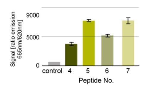 Kinase assay