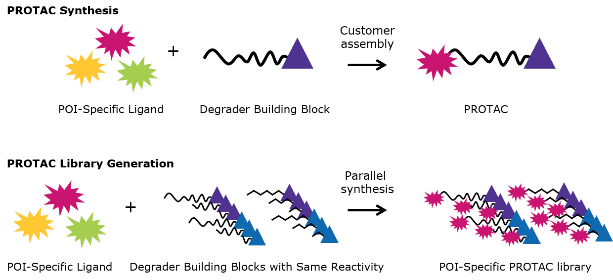 PROTAC Synthesis and PROTAC Library Generation