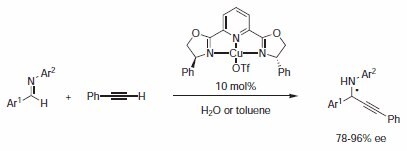 Catalyzed enantioselective direct-addition of terminal alkynes to imines