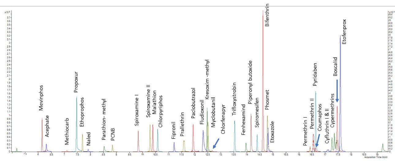 MRM extracted chromatogram of GC-MS/MS amenable pesticides in the California list - Standard at 200 ppb