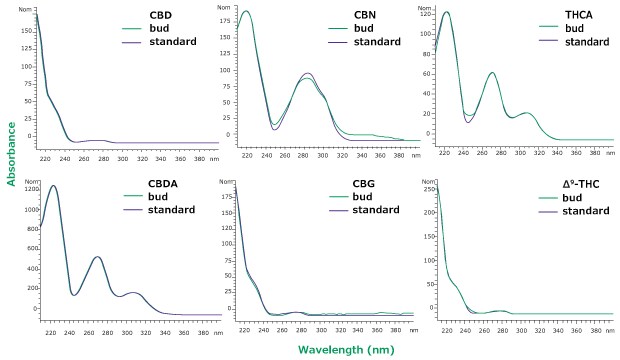 An overlay of UV spectra for hemp bud sample (Red) and standard solution (blue) at same retention time for 6 cannabinoids CBD, CBG, CBDA, CBN, ∆9-THC, and THCA 