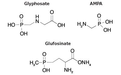 2-D chemical structures of herbicides- Glyphosate, AMPA, and Glufosinate